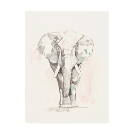 Trademark Fine Art Jennifer Goldberger 'Pastel Safari II' Canvas Art, 24x32 WAG15433-C2432GG